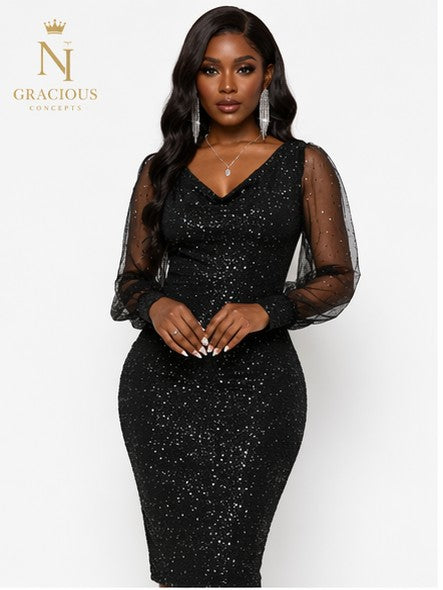 Black Luxe Sparkle Mesh Sleeve Dress