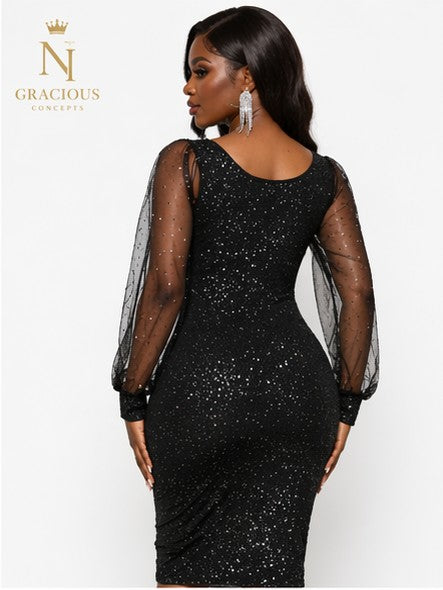 Black Luxe Sparkle Mesh Sleeve Dress