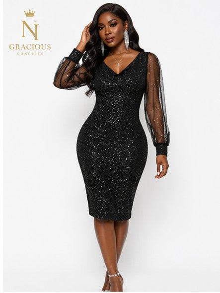 Black Luxe Sparkle Mesh Sleeve Dress