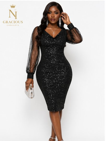 Black Luxe Sparkle Mesh Sleeve Dress
