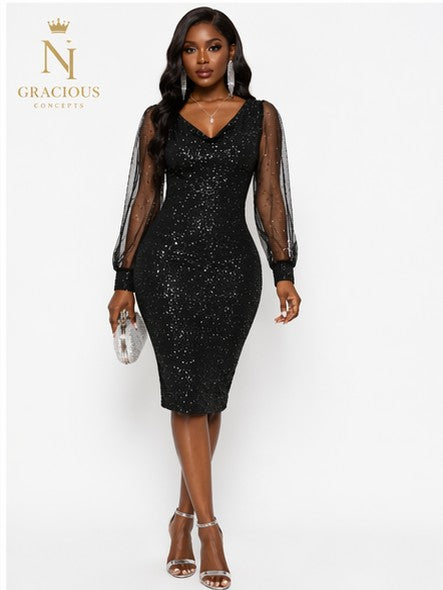 Black Luxe Sparkle Mesh Sleeve Dress